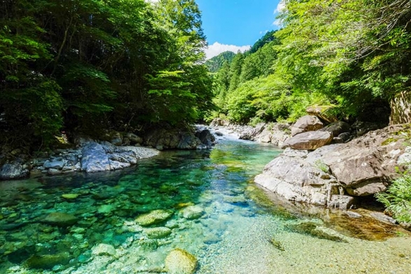 夏季休業のお知らせ
